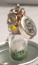 Load image into Gallery viewer, Wish in a jar necklace